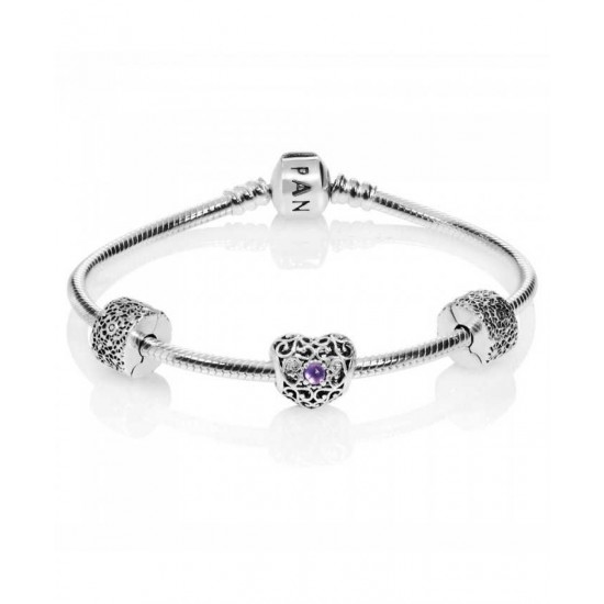 Pandora Bracelet February Birthstone Complete PN 10406 Jewelry